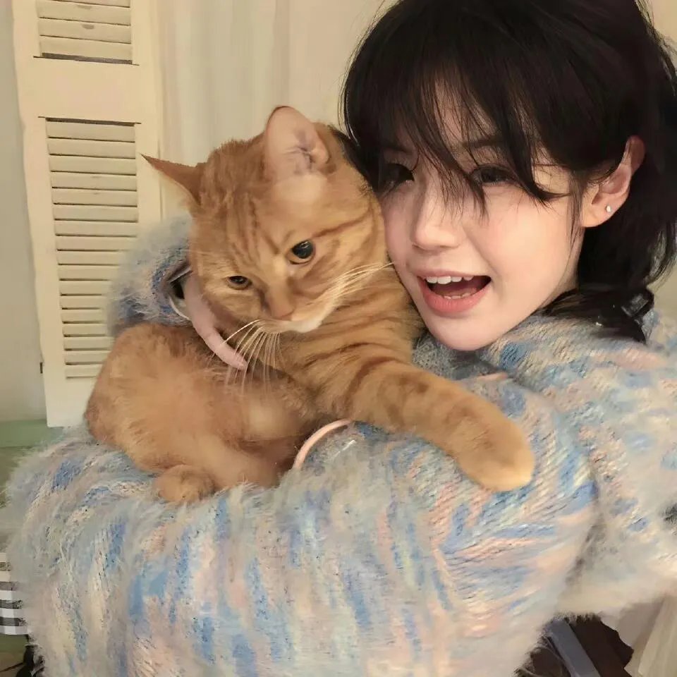 挞出爱火花粤语