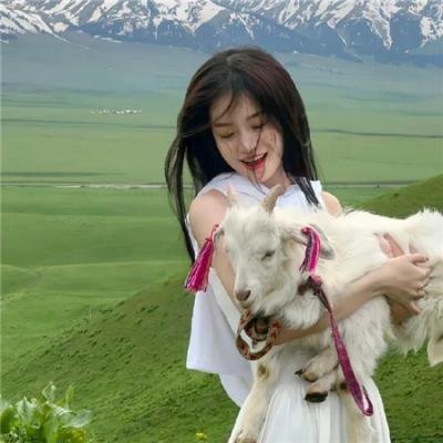 派对女孩升天记